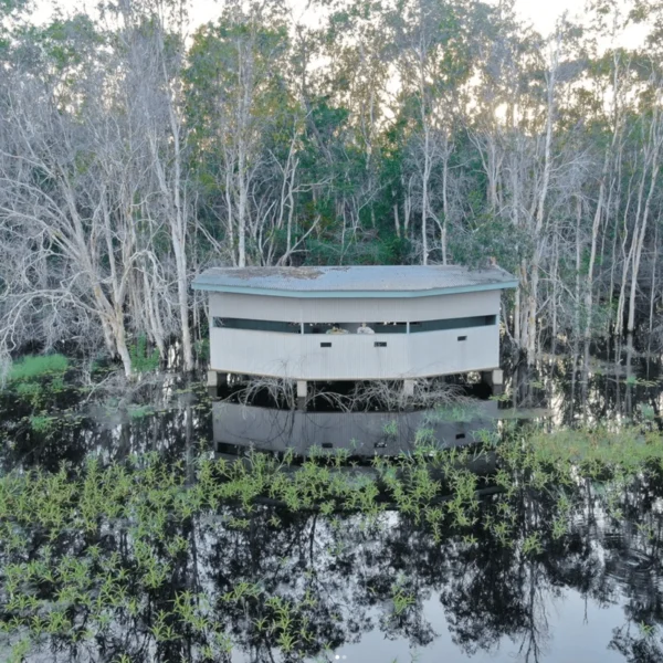 Things to do in Northern Territory