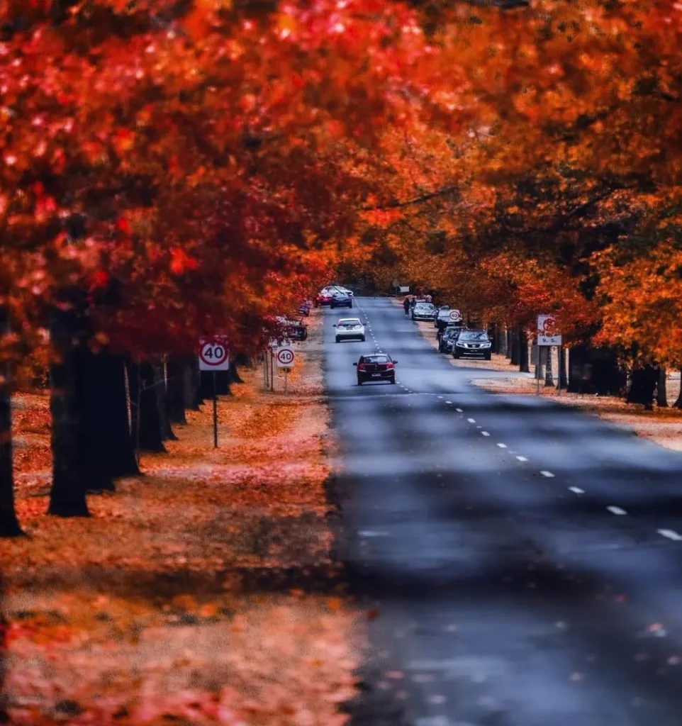 Mount Macedon