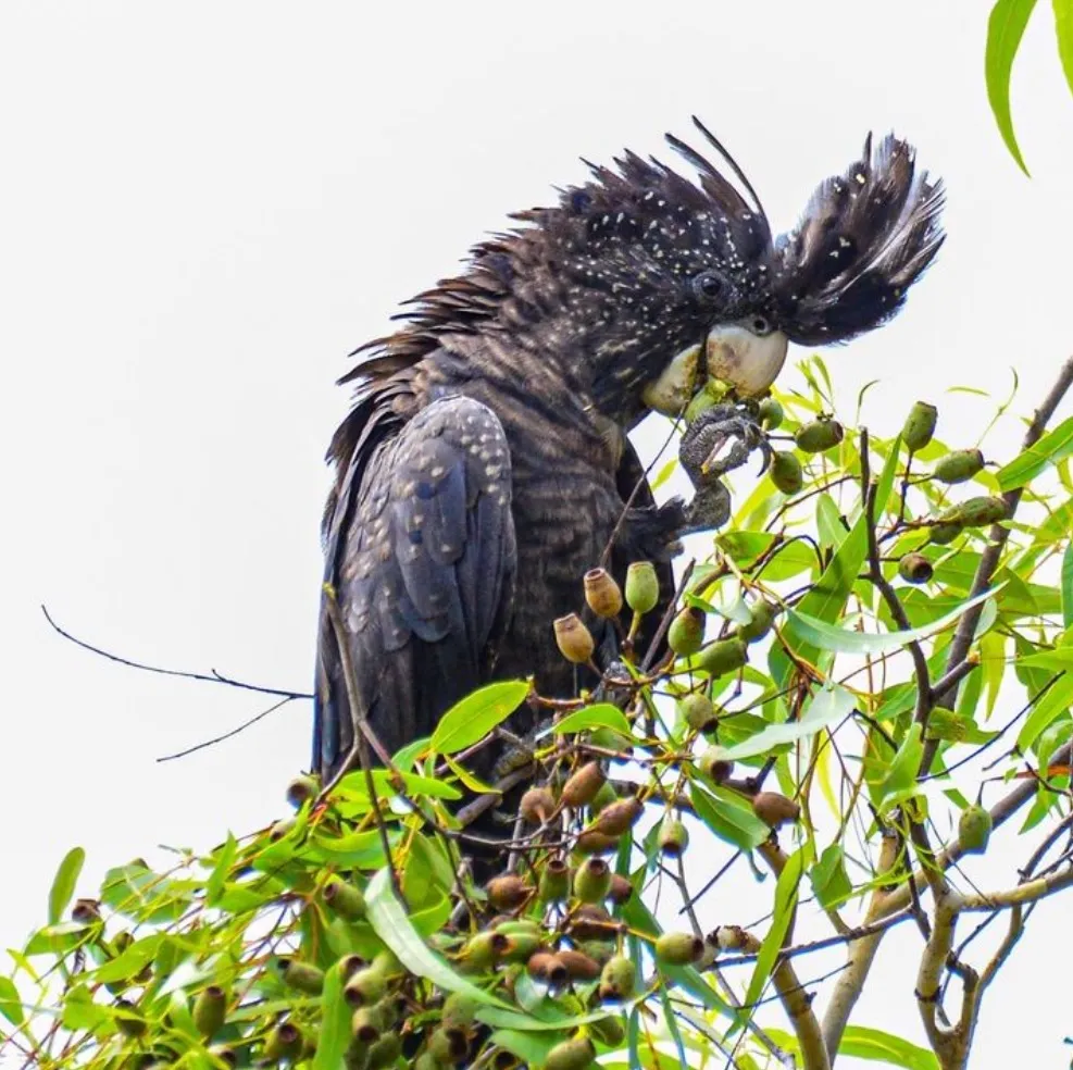 Mary River National Park