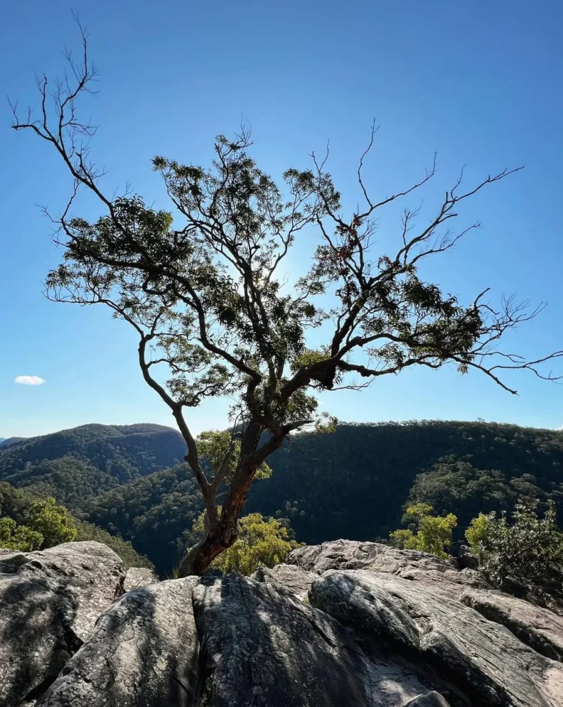 Discover the Lower Grose Valley