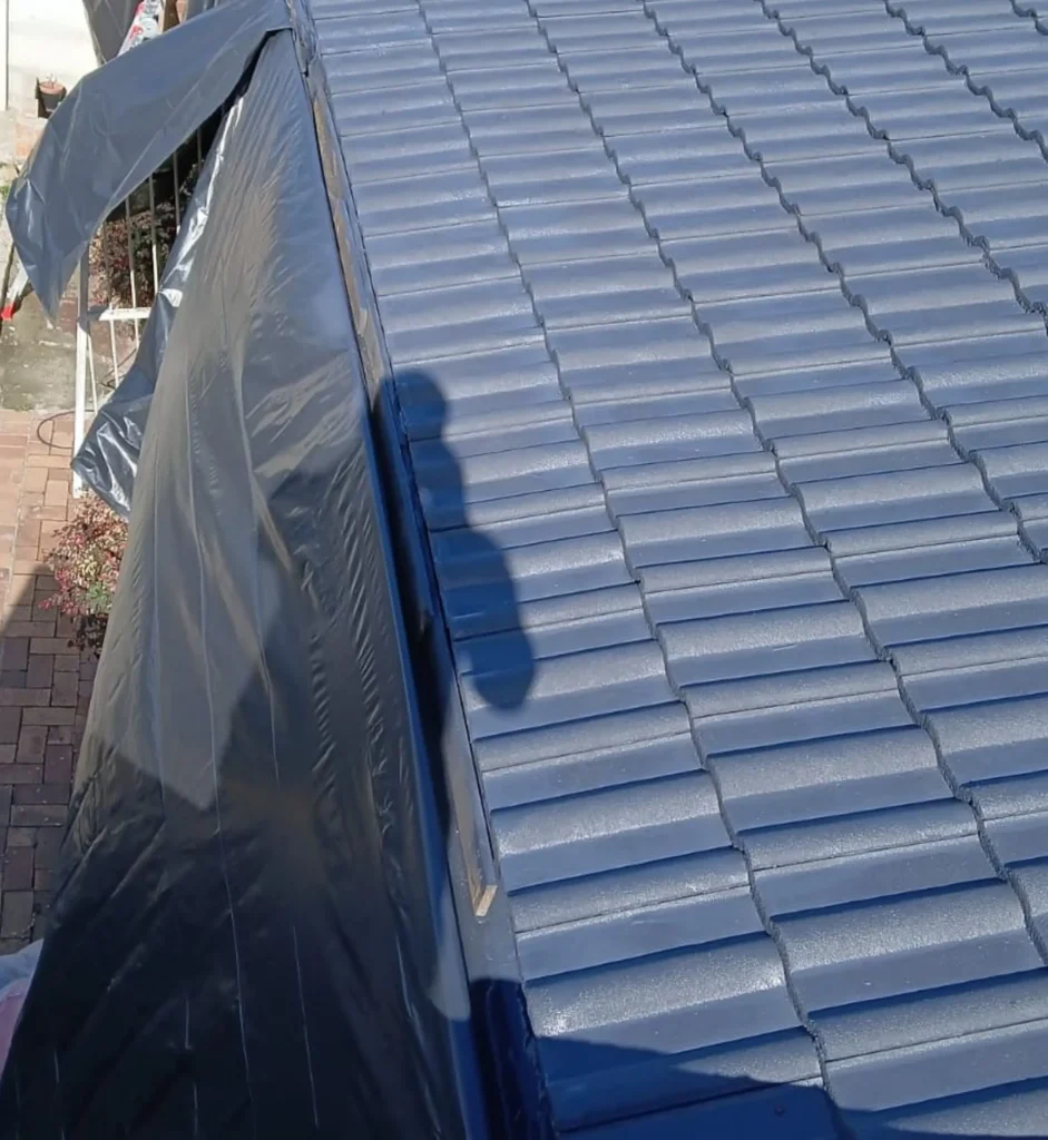 Roof Spray Cost