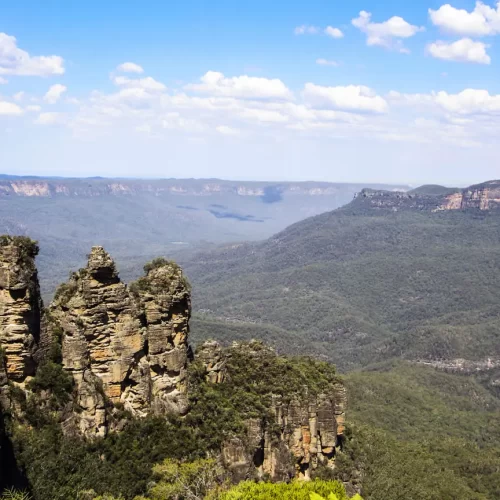 blue mountain tours