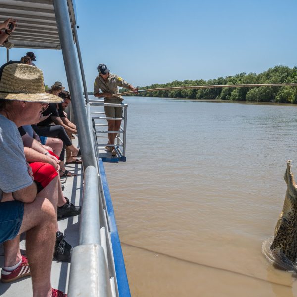 darwin croc tour