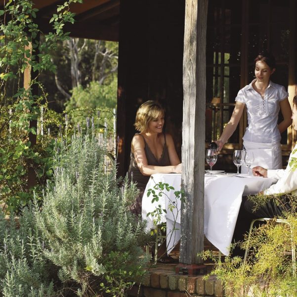 half day wine tour hunter valley