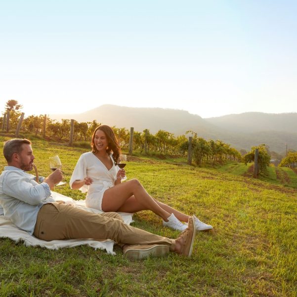 hunter valley wine tours