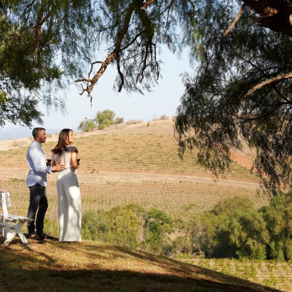 wine tour hunter valley