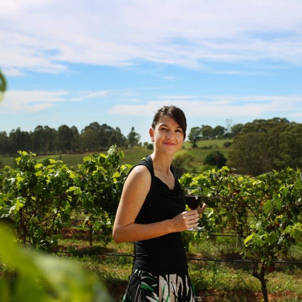 hunter valley half day wine tours