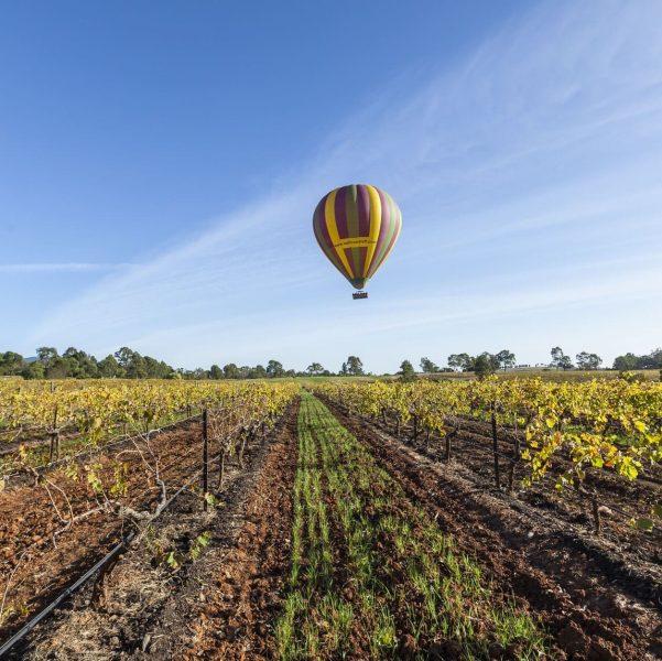 wine tasting tours hunter valley