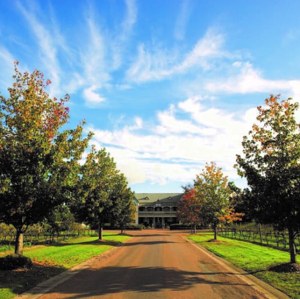 hunter valley tour from sydney