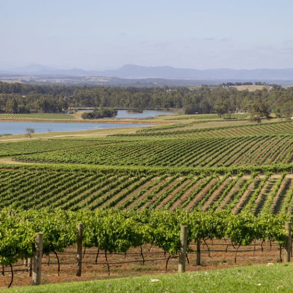tours to hunter valley from sydney