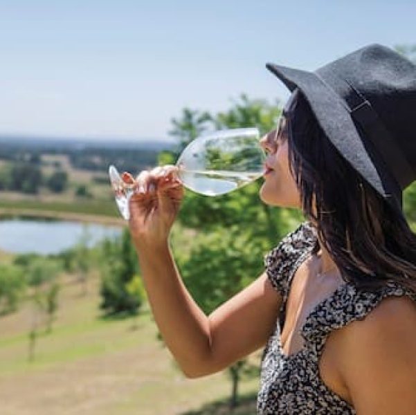 wine tours hunter valley