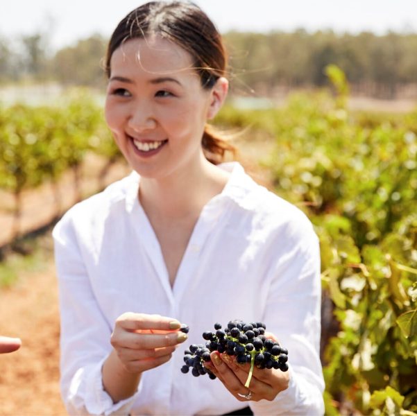 day trip to hunter valley
