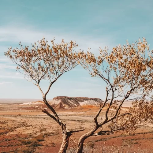 trips uluru