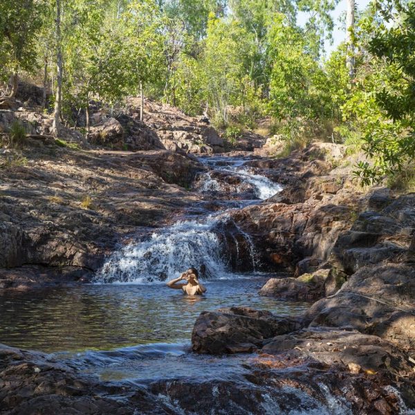 tours to litchfield national park