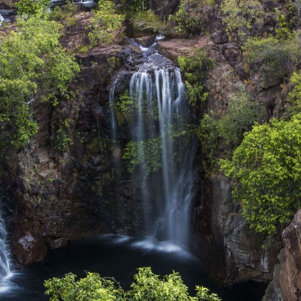 litchfield tours darwin