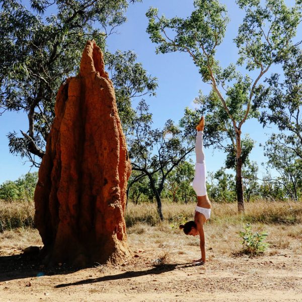 darwin litchfield tours