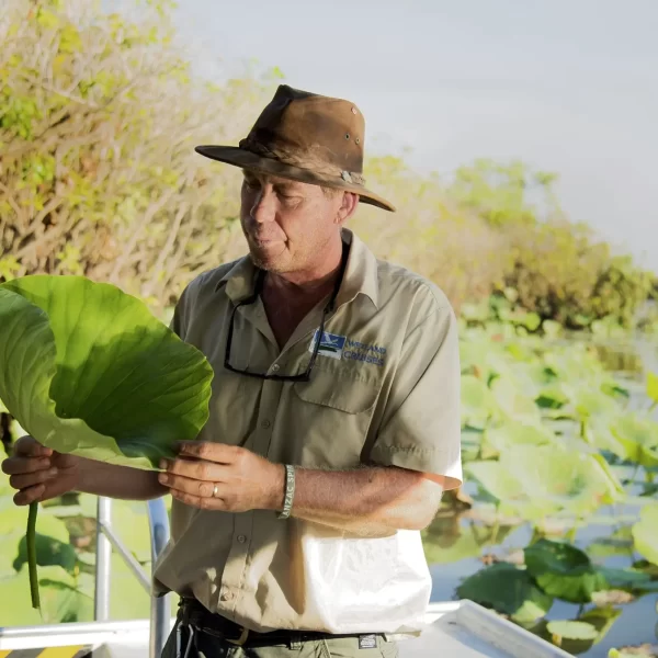 kakadu day trips from darwin