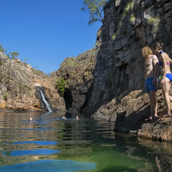 kakadu tours from darwin 1 day