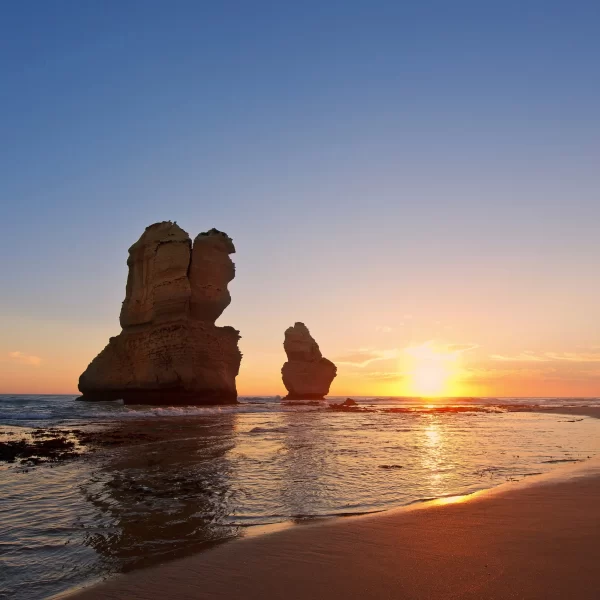 great ocean road tours