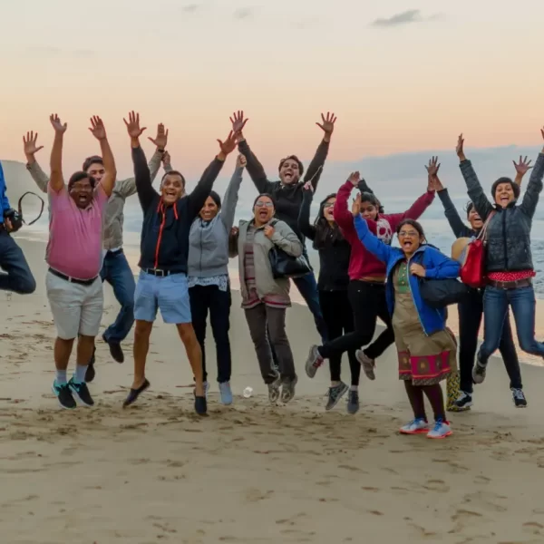 great ocean road day trips