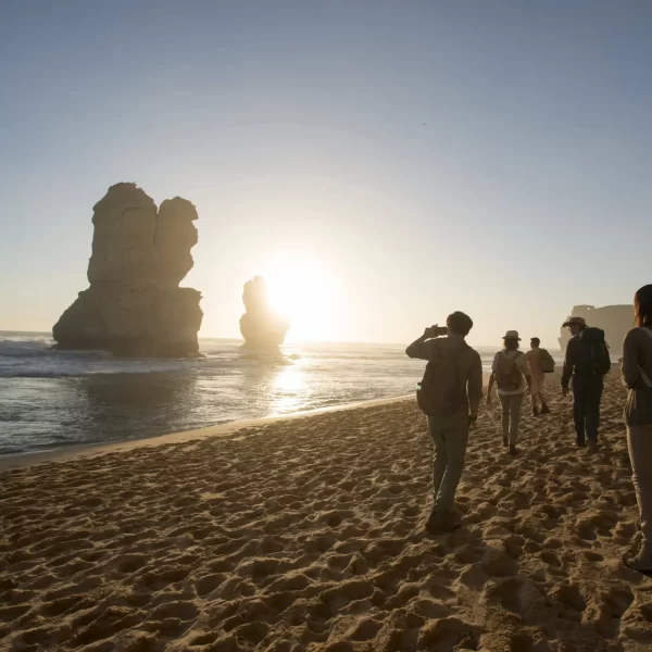 great ocean road day tour