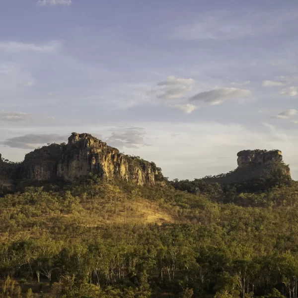 1 day kakadu tours from darwin