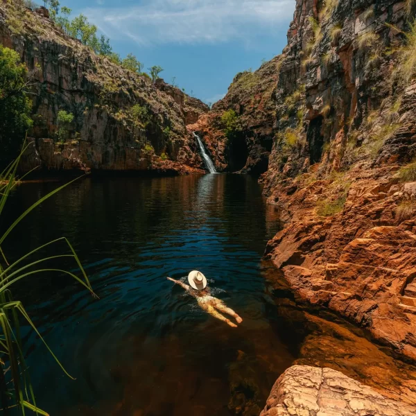 day trip darwin to kakadu