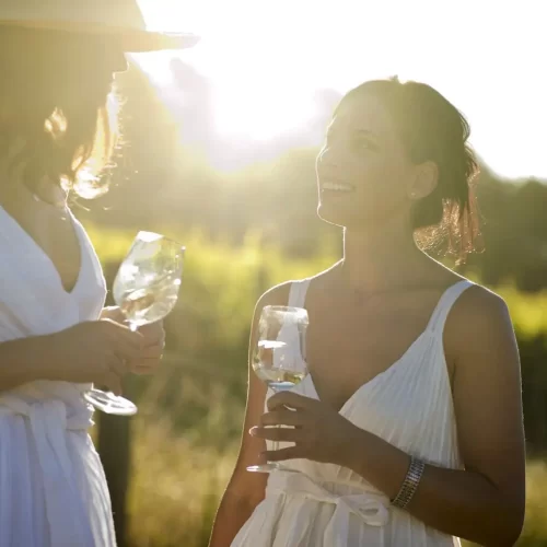 mornington peninsula winery tours