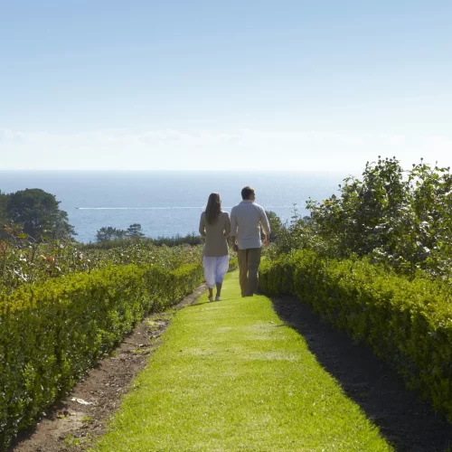 mornington peninsula wine tour