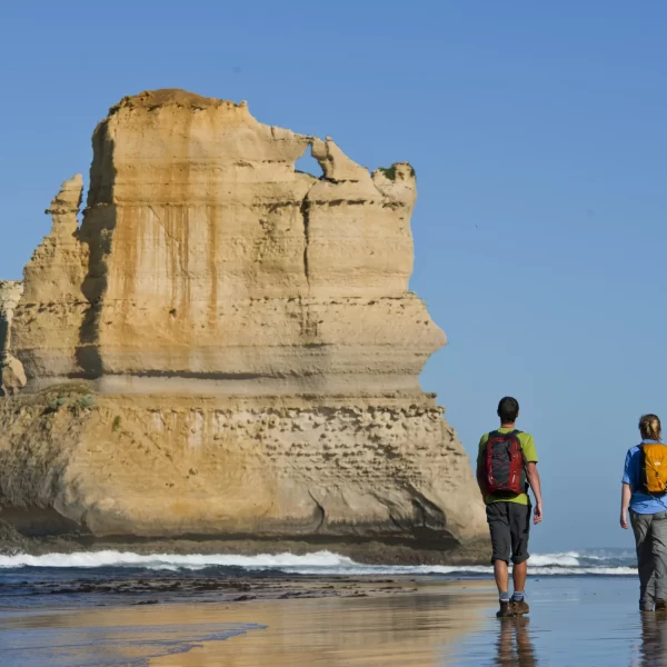 great ocean road tour cheapest