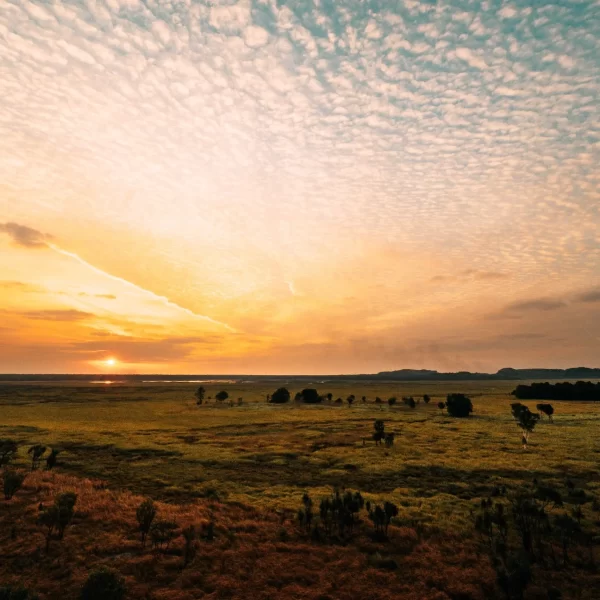 kakadu day trip from darwin