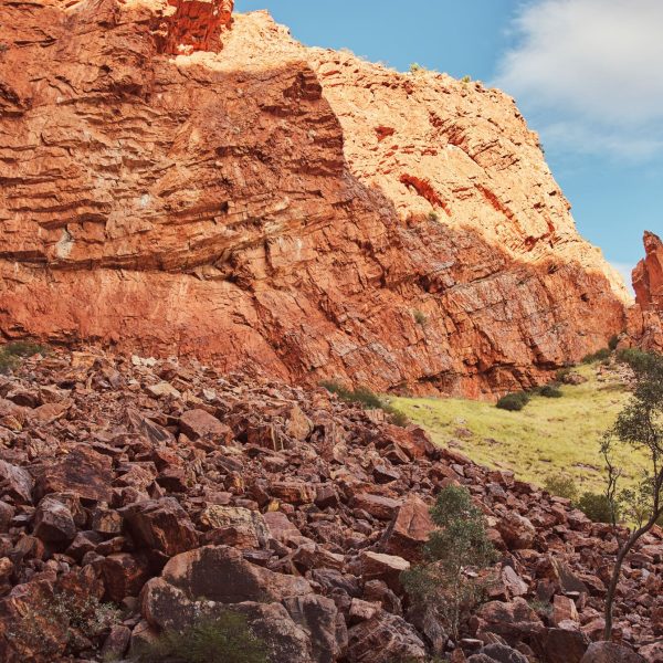 alice springs day tours