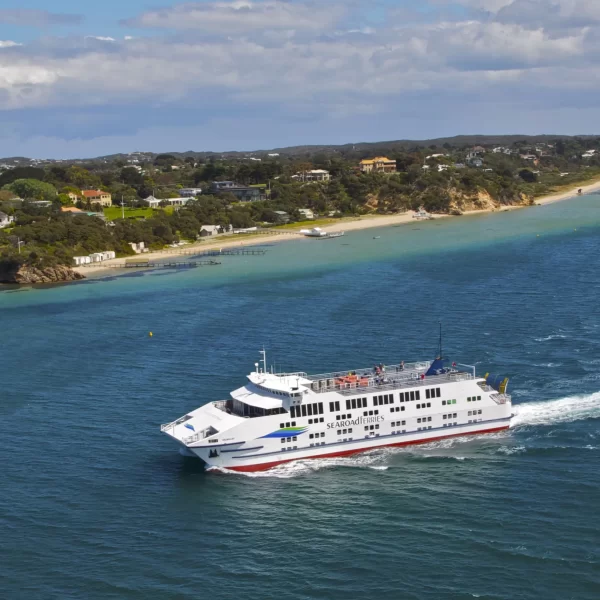 1 day great ocean road tour