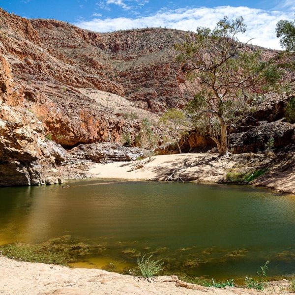 day tours alice springs