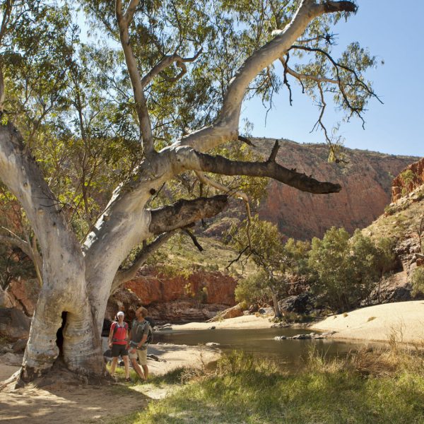 alice springs day tour