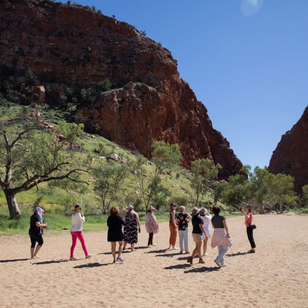 day trips alice springs