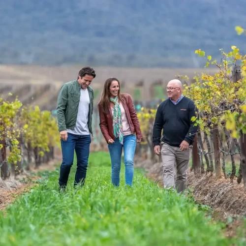 nsw day trips