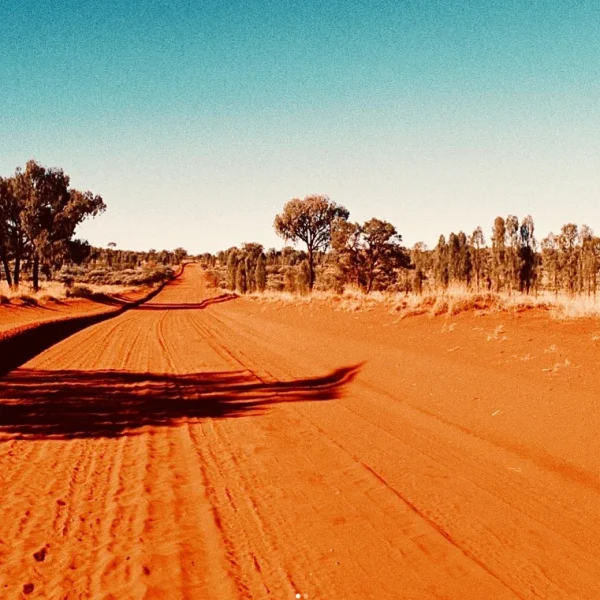 day tours from alice springs