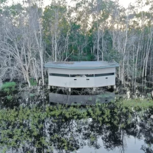 Things to do in Northern Territory