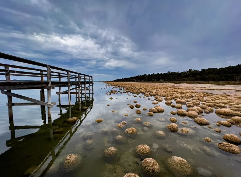 Yalgorup National Park