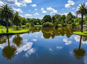 Exploring Melbourne’s Botanical Gardens