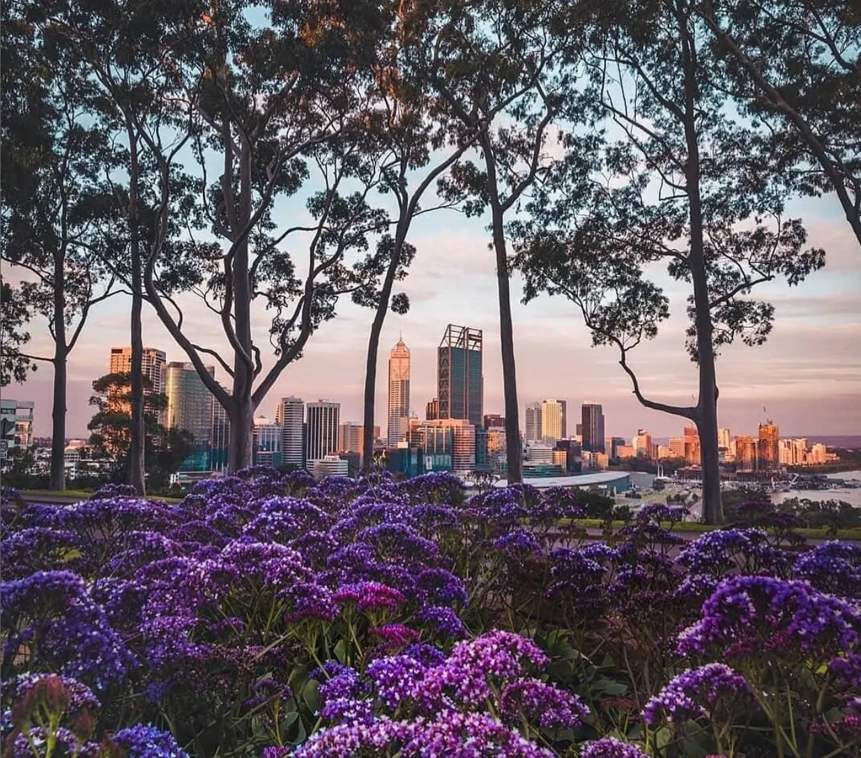Kings Park and Botanic Garden