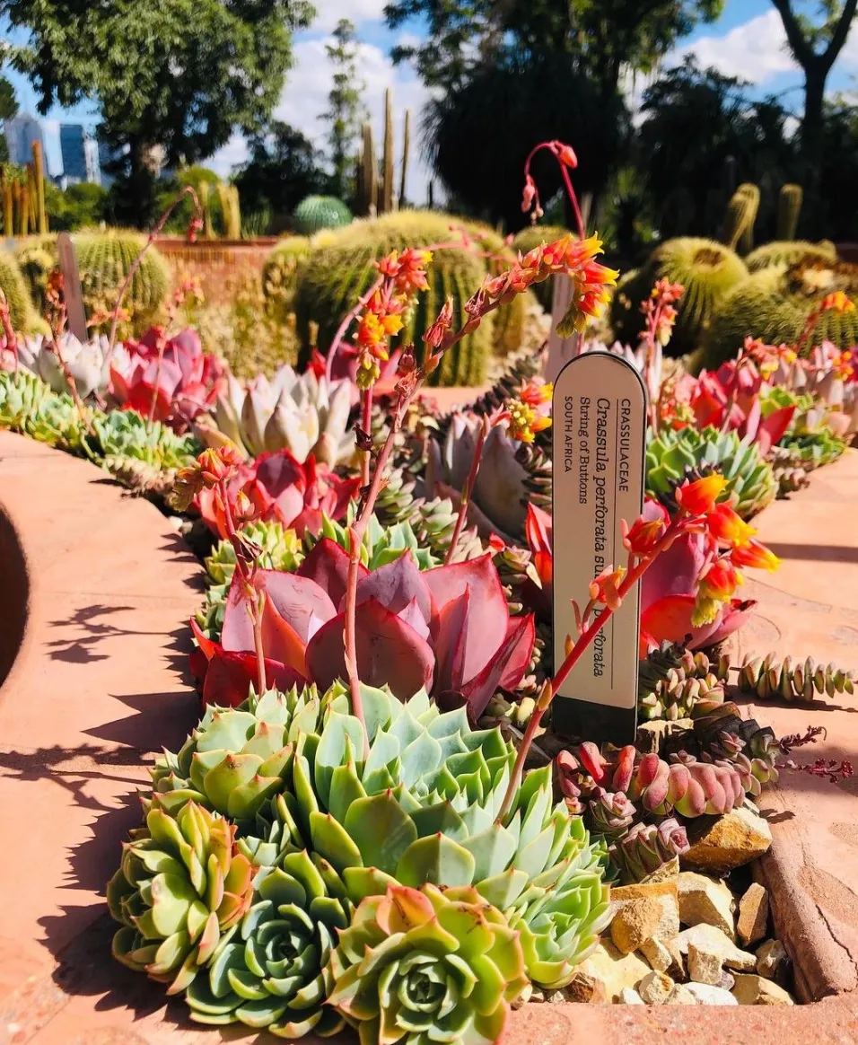 Royal Botanic Gardens