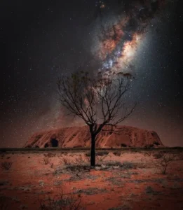 Stargazing and Night Tours