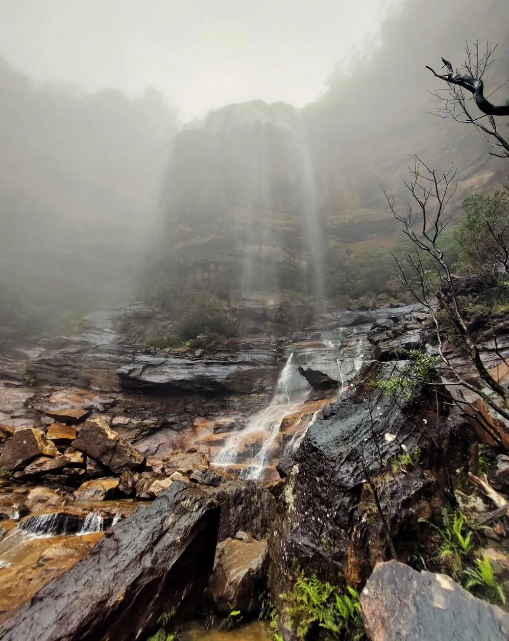 Wentworth Falls