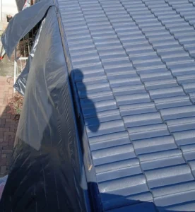 Roof Spray Cost