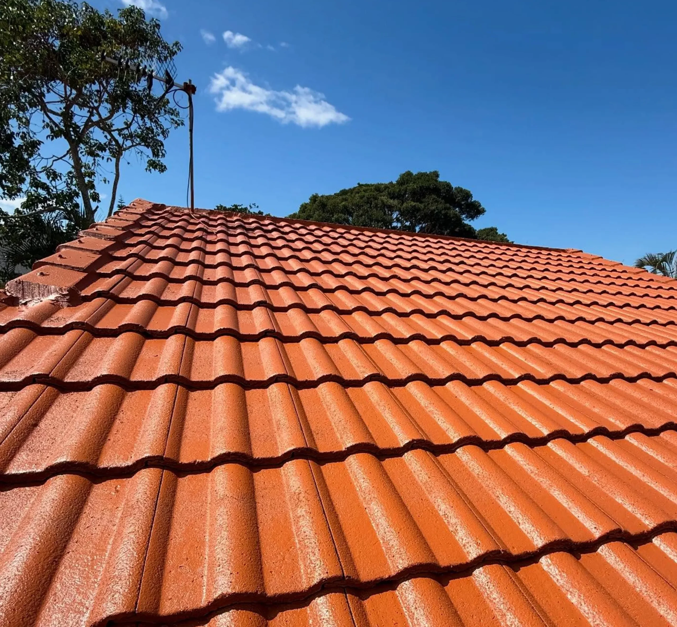 metal roof spray