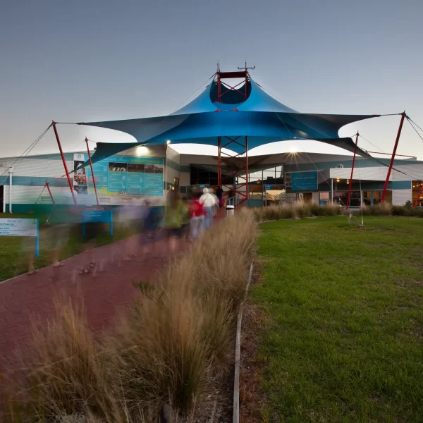phillip island day tours