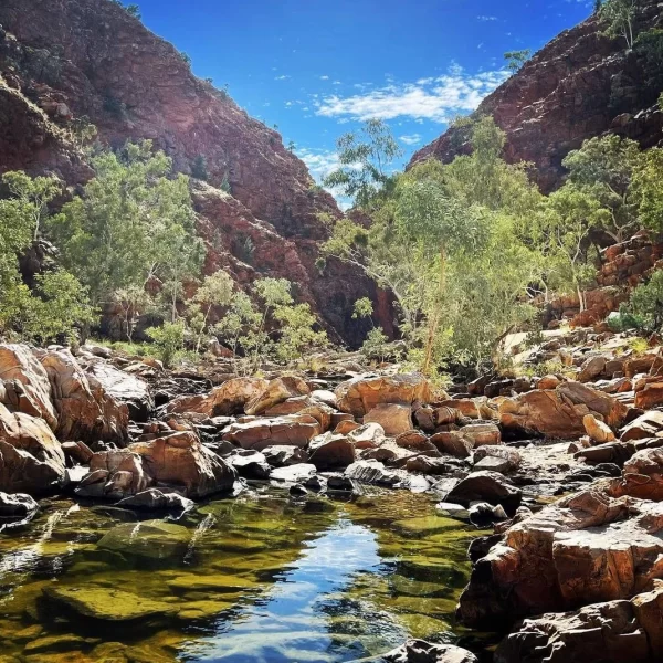 alice springs to uluru tours