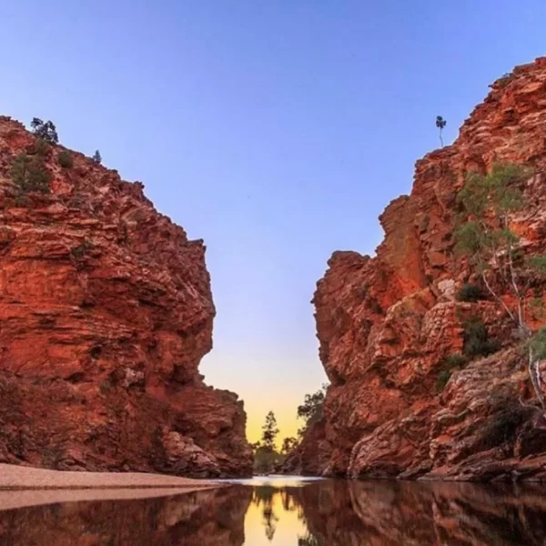 day trip to uluru from alice springs